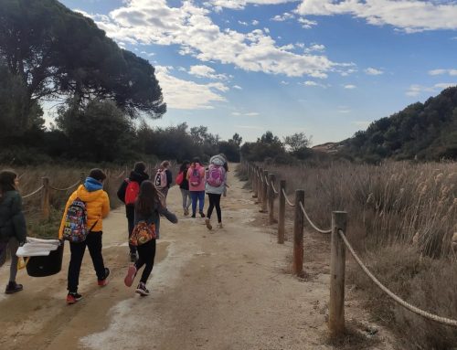 Els alumnes de 5è de El Perelló visiten les Llacunes del Cap de Santes Creus