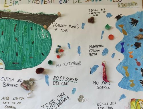 Taller creatiu amb l’alumnat de 5è de l’Institut Escola de El Perelló