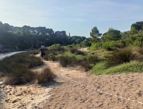 1m2 per la Natura en ocasió del Dia Mundial del Medi Ambient