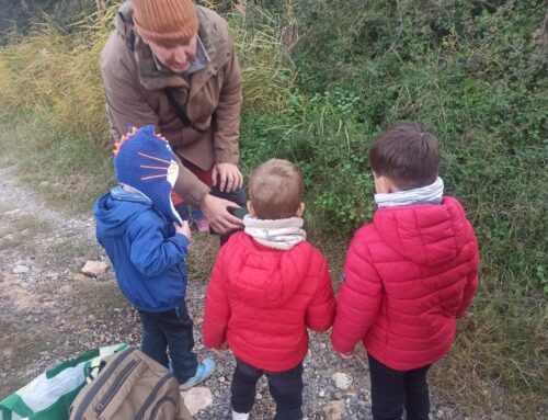 1r Bioblitz al Barranc del Safranar