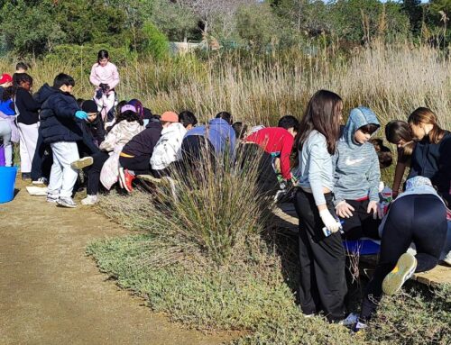 L’ Escola Sant Jordi de l’ Ametlla de Mar  visita la platja de Santes Creus