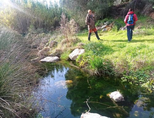 Graëllsia envia dos propostes de Zones Humides al procés participatiu del DTER