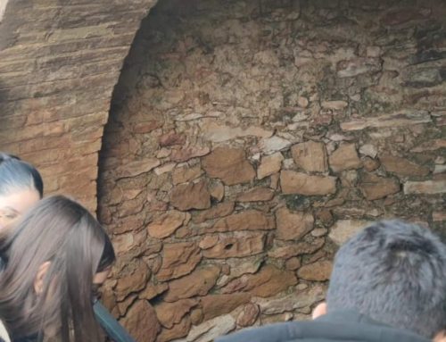 1ra Activitat d’Educació Ambiental al Safranar