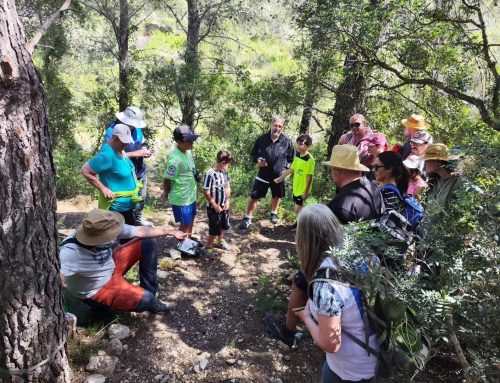 6è Bioblitz del BSC al Sender del Silenci i l’ Ecotros