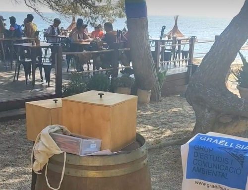 Vermut ambiental al Xiringuito Bohemia Mar del Perelló